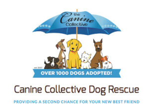 CanineCollective